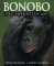 Bonobo:  The Forgotten Ape