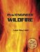 Pro/Engineer Wildfire with CDROM