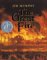 The Great Fire (Newbery Honor Book)