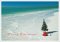 Tree on the Beach (Holiday Cards)