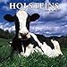 Holsteins 2005 Wall Calendar