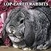 Lop-Eared Rabbits 2005 Wall Calendar