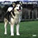 Alaskan Malamutes 2005 Wall Calendar