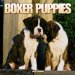 Boxer Puppies 2005 Wall Calendar