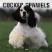 Cocker Spaniels 2005 Wall Calendar