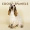 English Cocker Spaniels 2005 Wall Calendar