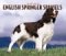 For the Love of English Springer Spaniels Deluxe 2005 Wall Calendar