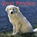 Great Pyrenees 2005 Wall Calendar