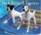 For the Love of Jack Russell Terriers Deluxe 2005 Wall Calendar