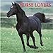 Horse Lovers 2005 Wall Calendar