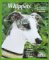 Whippets (Complete Pet Owner's Manuals)