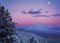 Winter Moon and Ponderosa Pines, Sierra Club Boxed Holiday Cards