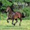 Horses 2004 12-month Wall Calendar