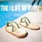 The Secret Life of Food