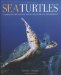 Sea Turtles: A Complete Guide to Their Biology, Behavior, and Conservation