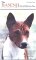 The Basenji Out of Africa, Revised Edition: A New Look (Pure-bred)