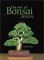 The Art of Bonsai Design