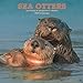 Sea Otters 2007 Calendar