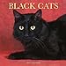Black Cats 2007 Calendar
