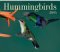 Hummingbirds 2005 Calendar