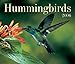 Hummingbirds 2006 Calendar