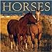 Horses 2005 16-month Wall Calendar