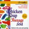 Chicken Soup for the Teenage Soul (Chicken Soup for the Soul (Audio Health Communications))