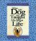 What My Dog Has Taught Me About Life: Meditations for Dog Lovers