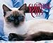 Just Siamese Cats 2005 Calendar