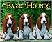 Just Basset Hounds 2005 12-month Wall Calendar