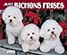 Just Bichons Frises 2005 Calendar