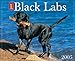 Just Black Labs 2005 Calendar