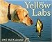 Just Yellow Labs 2005 12-month Wall Calendar