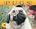 Just Pugs 2005 12-month Wall Calendar