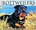 Just Rottweilers 2005 12-month Wall Calendar