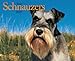 Just Schnauzers 2005 Calendar