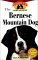 Bernese Mountain Dog: An Owner's Guide to a Happy Healthy Pet