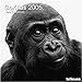 Gorillas 2005 Calendar