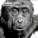 Gorillas � Vera Friedrich 2006 Calendar