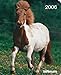 Horse 2006 Calendar