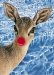 Doe in Snowy Scene with Red Nose (Holiday Greeting Cards)